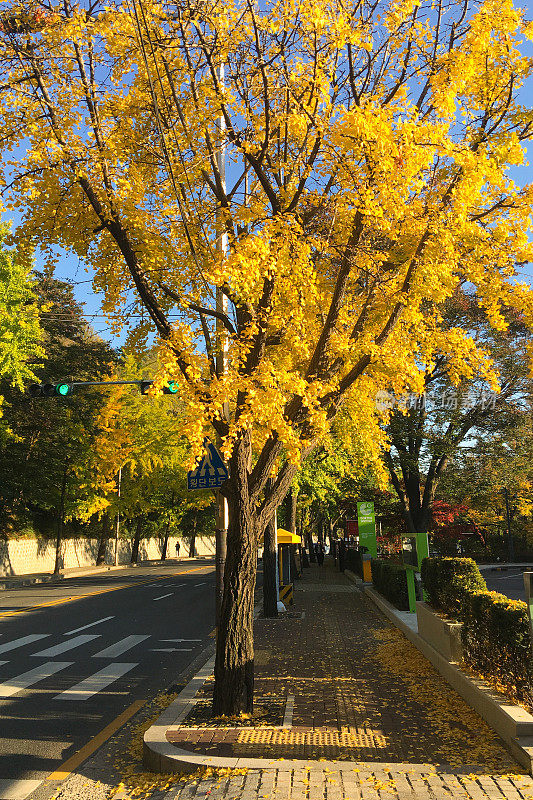 首尔Namsan Sowol-gil